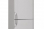 Lodówka Beko csa 21020